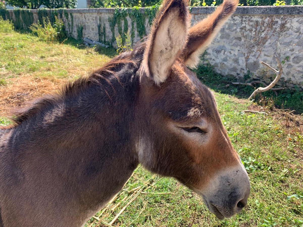 Cabane Bambou Huriel Dış mekan fotoğraf
