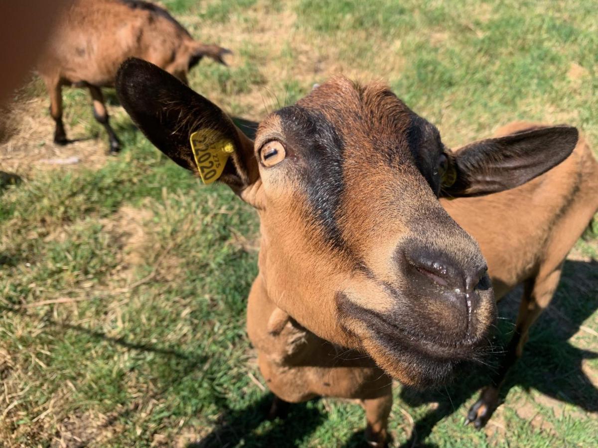 Cabane Bambou Huriel Dış mekan fotoğraf